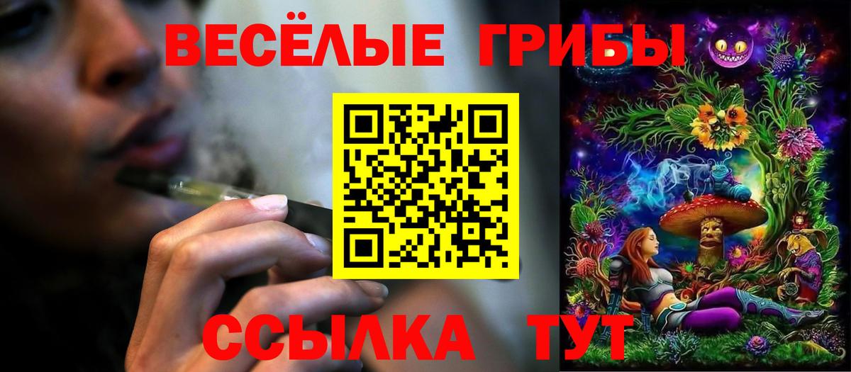 Галлюциногенные грибы мицелий Кашира